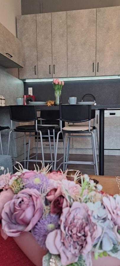 Napraforgo Apartman Διαμέρισμα Σέγκεντ Εξωτερικό φωτογραφία